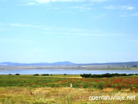 Laguna de Gallocanta, Zaragoza.